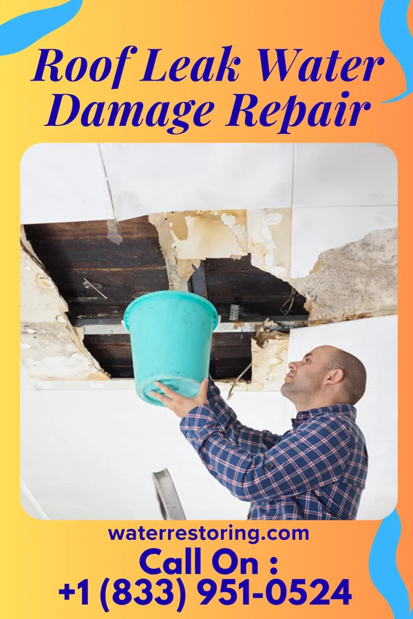 Roof Leak Water Damage Repair in Woodlawn Beach, FL