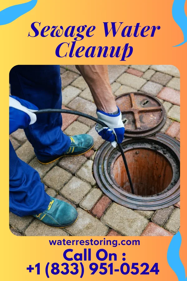 Sewage Water Cleanup in Woodlawn Beach, FL